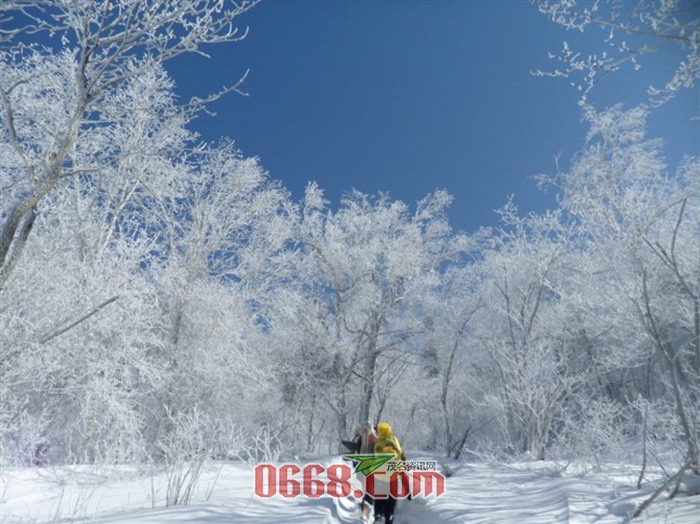 东升林场（中国雪谷_缩小大小.jpg